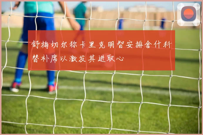 舒梅切尔称卡里克明智安排舍什科替补席以激发其进取心